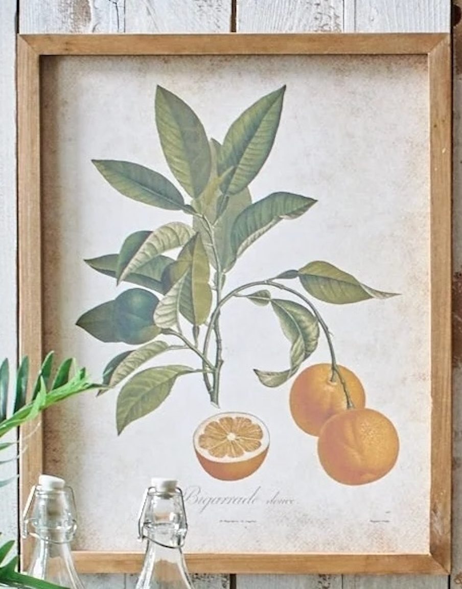 Stampa con cornice in legno Agrumi - scegli la tua preferita