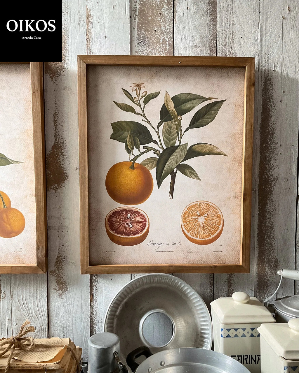 Stampa con cornice in legno Agrumi - scegli la tua preferita